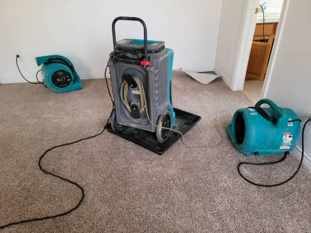 Best Ceiling water damage repair  in Decatur, IL